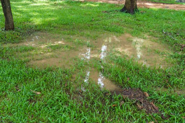 Cost of Storm Water Drainage Service in Shawnee