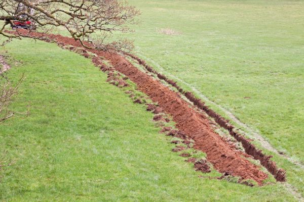 Cost of Swale Installation in Shawnee