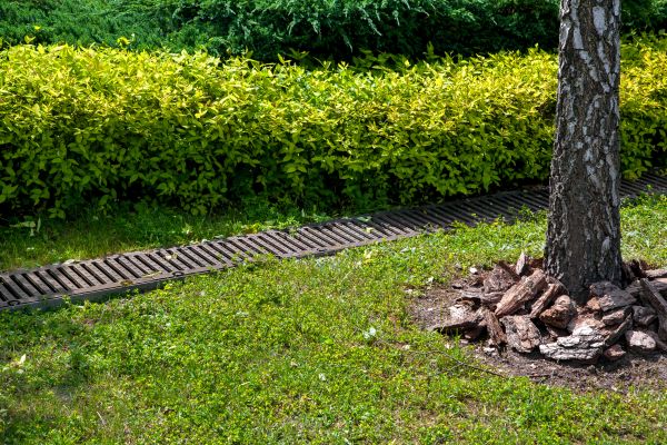 Cost of Residential Landscape Drainage in Shawnee