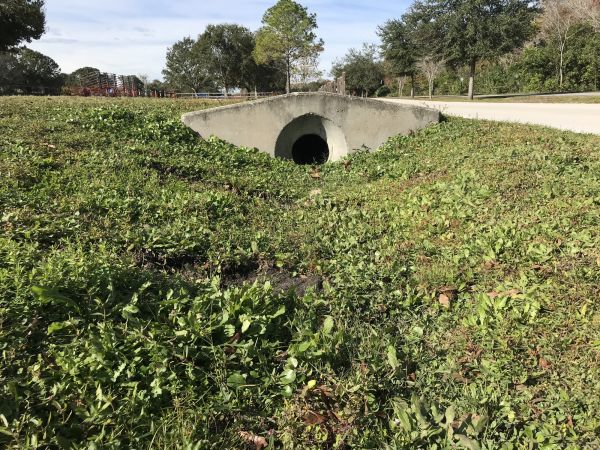 Cost of Swale Drainage Service in Shawnee